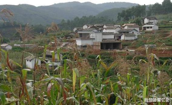 万里追凶|五兄弟为弟万里追凶，寻遍上百个县活捉真凶，事迹被改编成电影