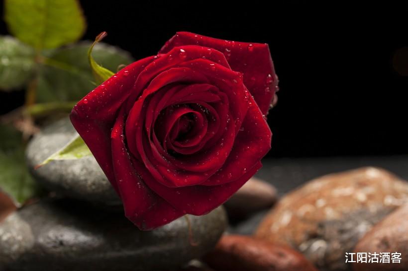 「生肖」7月3号喜神来报喜，喜事来赚钱多，人生也会更顺的3个生肖！