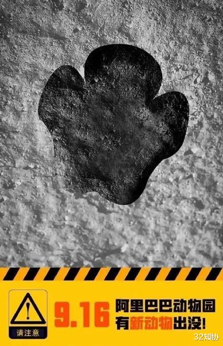 阿里巴巴|来了!马云口中的新制造平台,“迅犀”蓄谋已久!