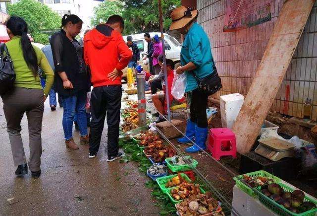 白菜|跌到白菜价，有人围堵路口疯抢，每天走货500吨，吃货太疯狂