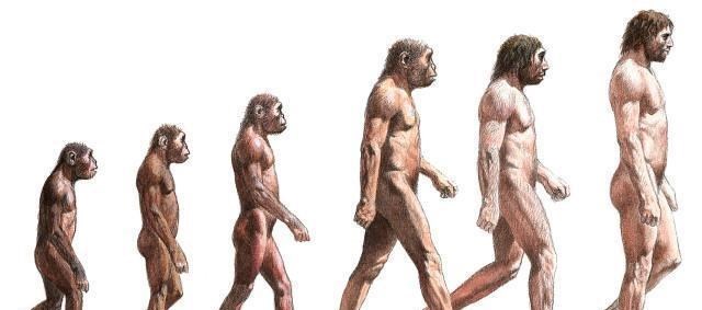老虎|人类空手的“战斗力”有多厉害？真可以一个“划铲”杀死老虎吗？