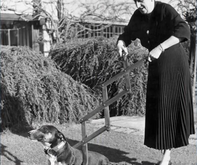 |人类历史上12种你绝对想象不到的古怪发明！