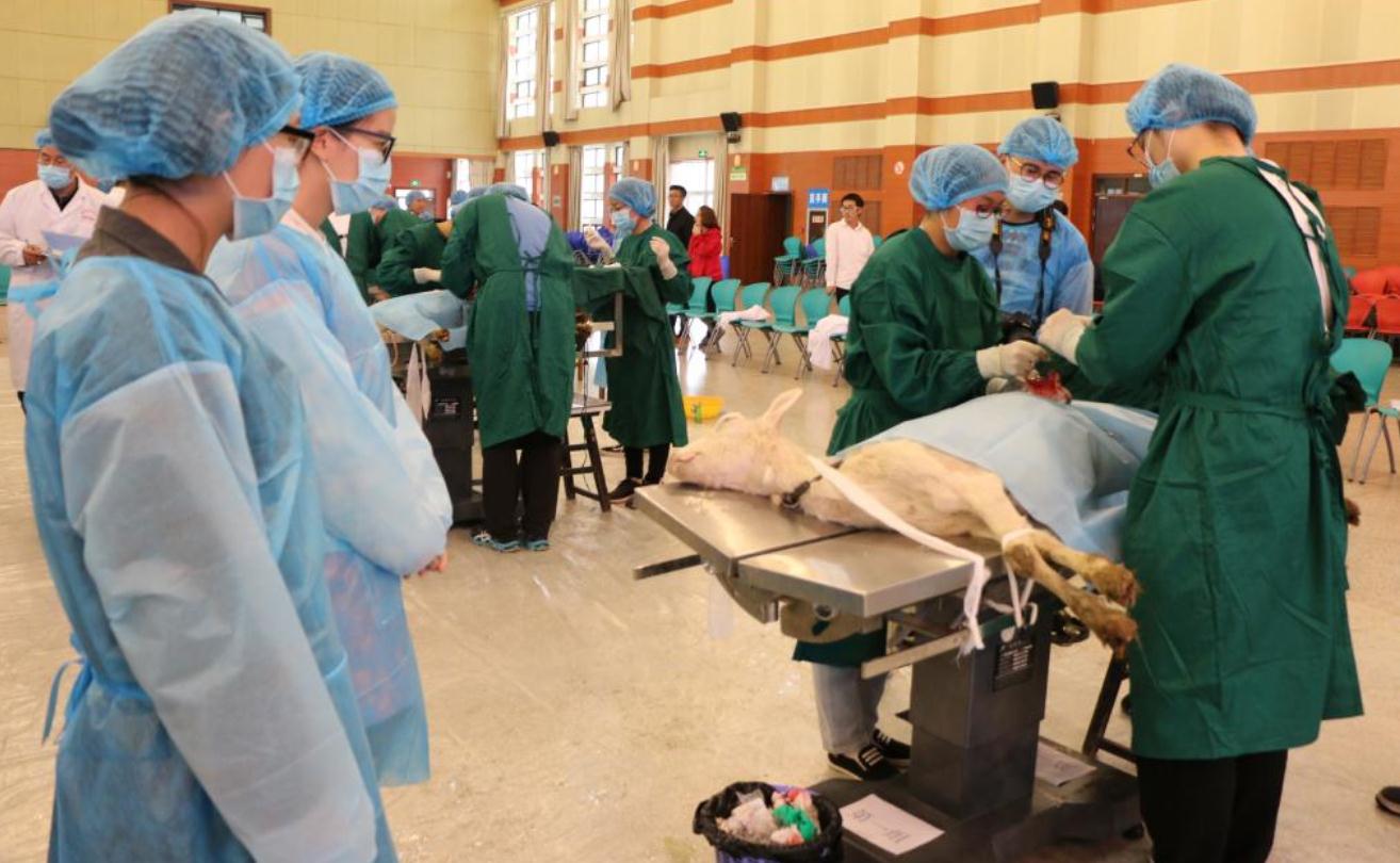 填报志愿|高考二本女生：这8大专业挺靠谱的，填报志愿很迷茫可参考