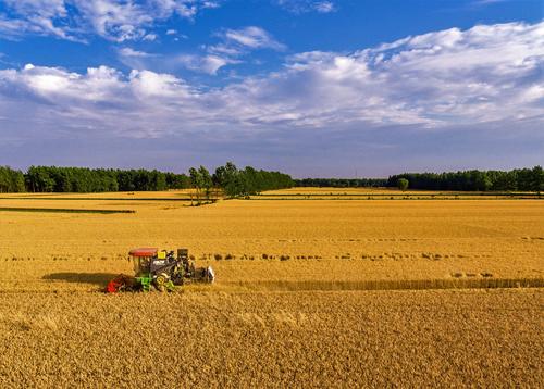 【农产品】2020年下半年这几样农产品要涨价，农民终于要“翻身”了？