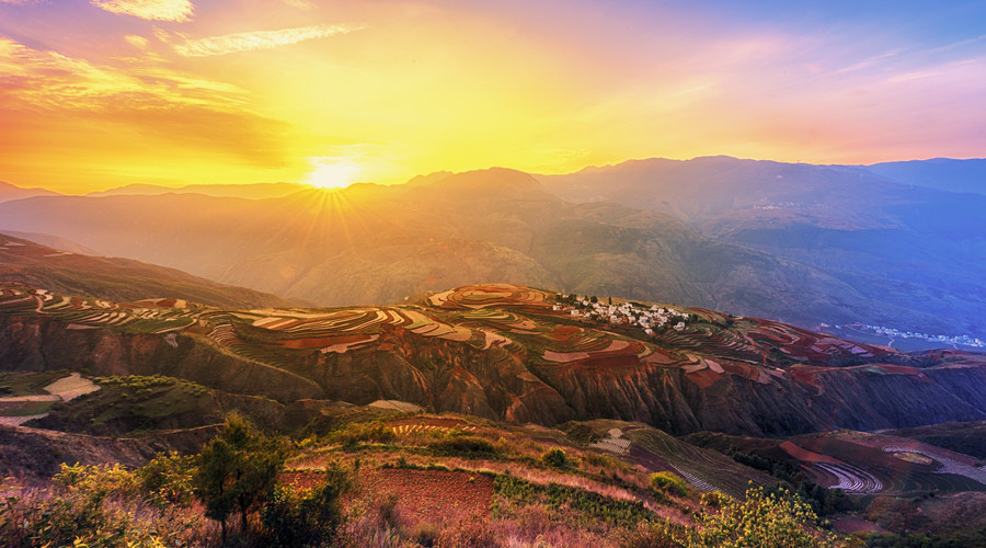 生肖▲7天内事业大顺,运气好赚大钱,财运红火,求财得财的生肖