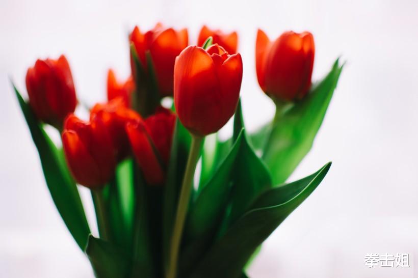 『』接下来20天一到，正财旺盛，横财可得！3大生肖偏财运一路走高，连旺三年