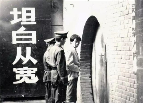 电影|27年前，他带狗参演谢晋电影《老人与狗》，拍完后，人狗皆被枪毙