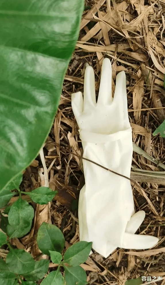 化粪池|细节曝光！广西男子杀害前妻后埋尸化粪池，还转走她15万元去旅游