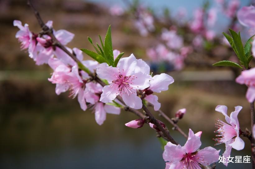 「生肖」横财滚滚的3生肖，财富不断找上门！