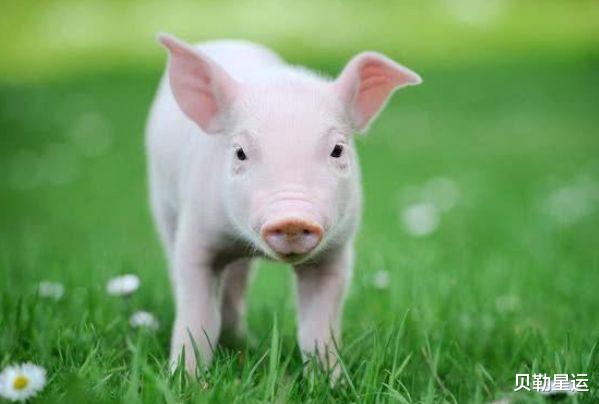 摩羯座|属猪人：10月16号不宜办事，你知道10月16号是什么日子吗？