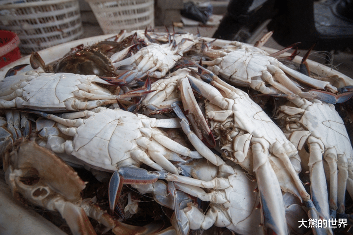 螃蟹|买螃蟹，对老板说这句“行话”，就不敢忽悠你，乖乖给你拿肥螃蟹