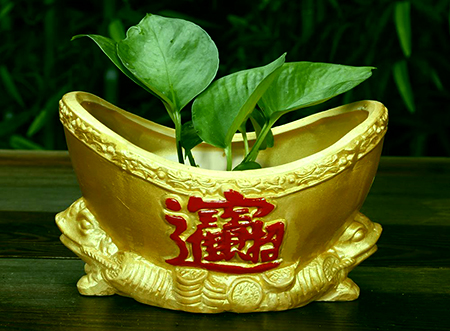 『生肖』未来10天,好运冲天,红到发紫的三个星座