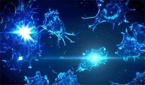 「」地球为何没出现永生生物，人类若永生会发生什么？专家的解释让人直冒冷汗