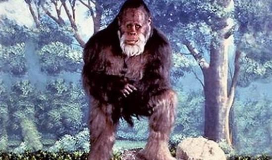 「喜马拉雅山」喜马拉雅怪物 是人是兽 揭开神秘面纱你别不信