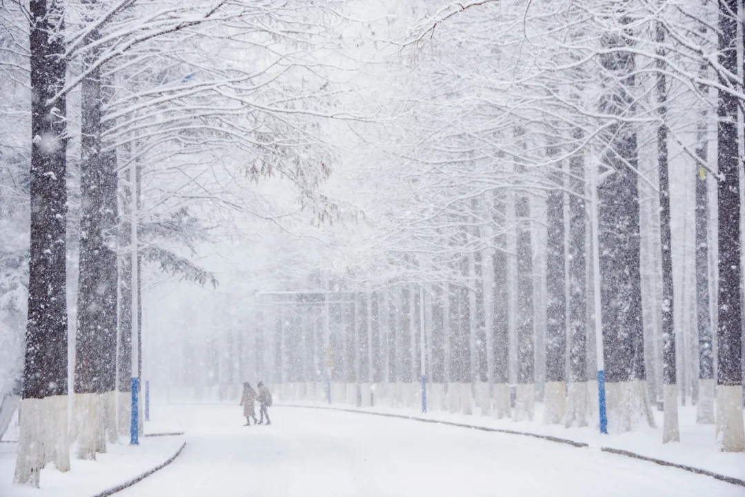 [辽宁省]美过三亚！比厦门浪漫！中国这座海滨老城，去一次相当于环游世界！
