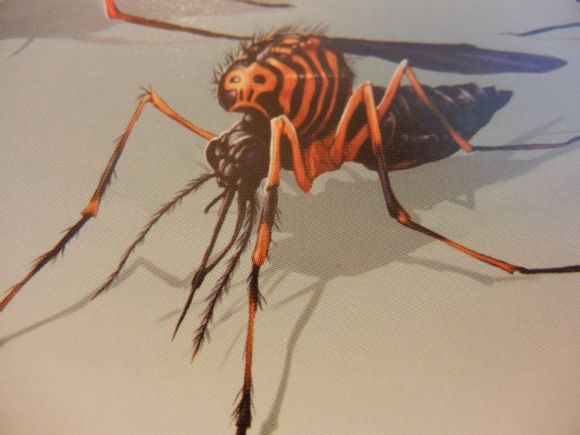 『仰泳』骷髅岛生物设定 昆虫篇