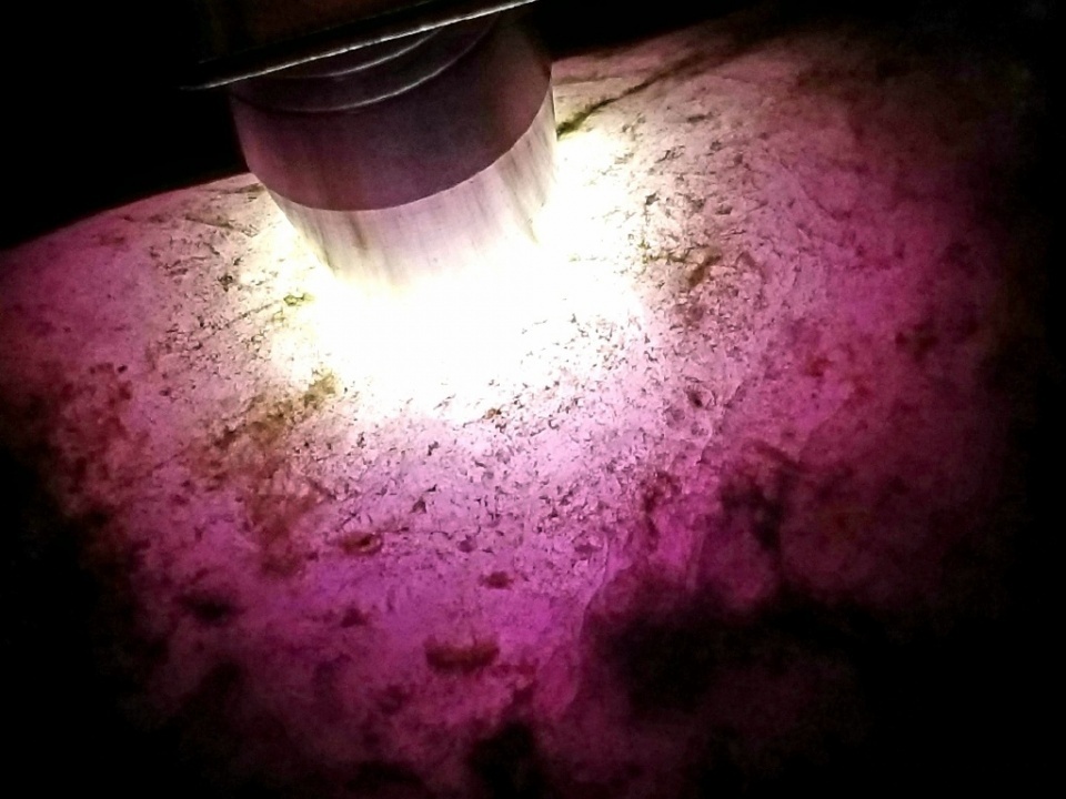 「」大叔酒后说胡话，支支吾吾2W买下原石，一刀切开假牙都卡掉了！