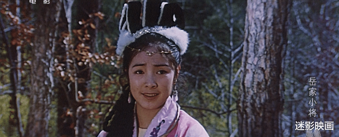 岳云|38年前的武侠神作，《少林寺》后又一部真功夫片，至今奉为经典