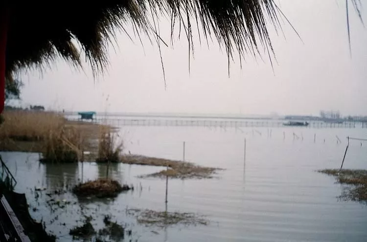 ##雨天钓鱼怎么钓?把握好鱼儿活跃的短暂时间