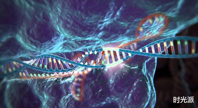 基因|堪比二甲双胍,中国科学家发现心血管“克星基因”,降低胆固醇50%