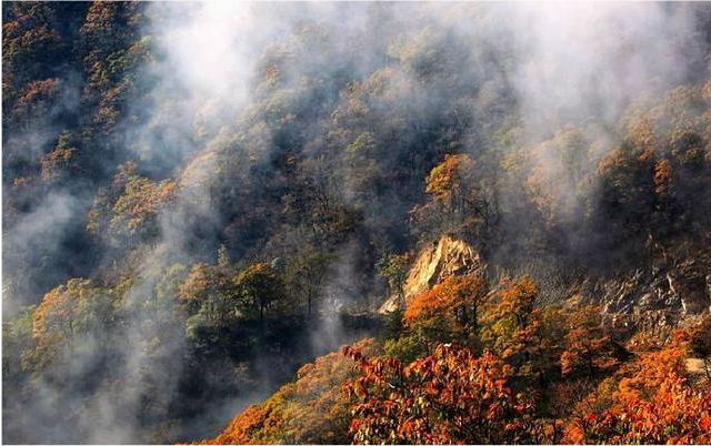 江浙沪|江浙沪“最美的”自驾游路线