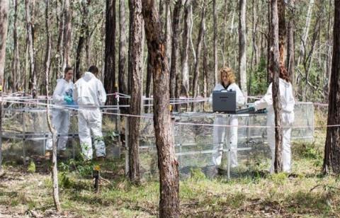 ##人类尸体在死后17个月， 仍然会移动， 科学家用相记录下画面！