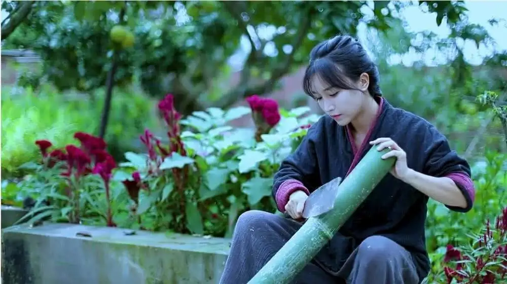 「抖音」靠抖音，普通人的创业会成功吗？