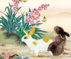 属兔|吃得苦中苦，吉祥兔最近一月，上有鸿福，下有好运，挣大钱