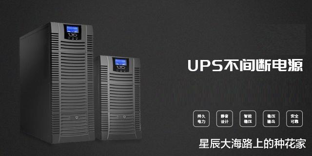 酸浆|为什么人类不吃大王酸浆鱿？也不吃老虎狮子，非得吃食草动物？