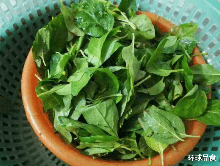 枸杞|入秋后,记得多喝此汤,做法简单,养肝护肝,肝脏也健康了