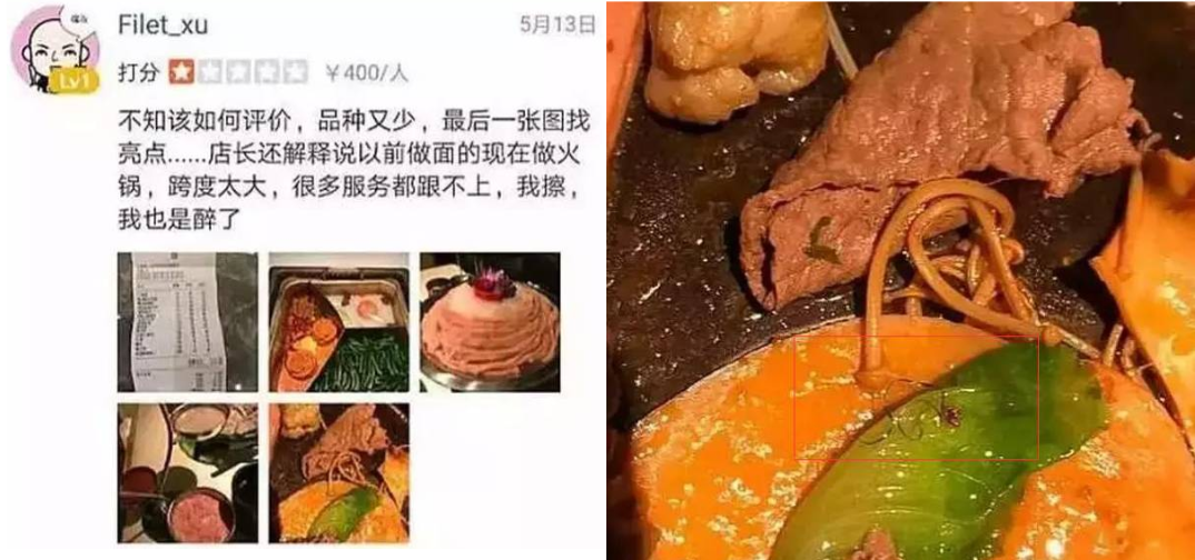 黄磊|好男人黄磊也会翻车?