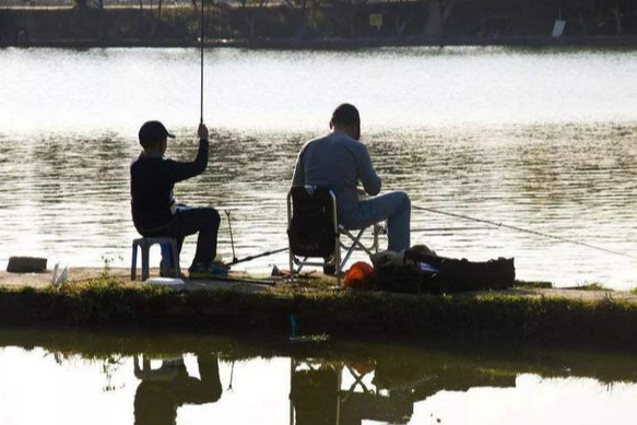 水库|老钓手总结的台钓技巧，在中小水库钓滑鱼——盛世三渔