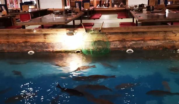 餐厅@日本最火爆的餐厅，想吃鱼就得自己钓，简直太霸气了！