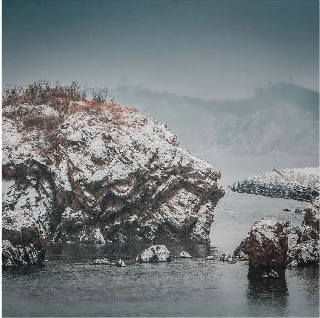 新疆维吾尔自治区 大雪过后，大连海边惊现奇景