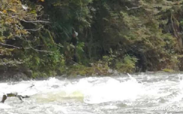 加拿大|可怕！加拿大著名公园突发泄洪，致1死1失踪！华人父子险丧命！