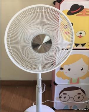 [风扇]小米、美的输了！格力推出「1度电」风扇，空调也开始要积尘了