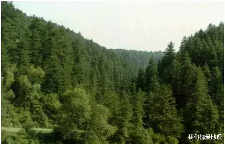 #干旱#世界上面积最大的黄土区