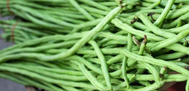 「豆角」长豆角吃不完，教你一个土方法，保存一年都脆嫩鲜绿，下饭超好吃