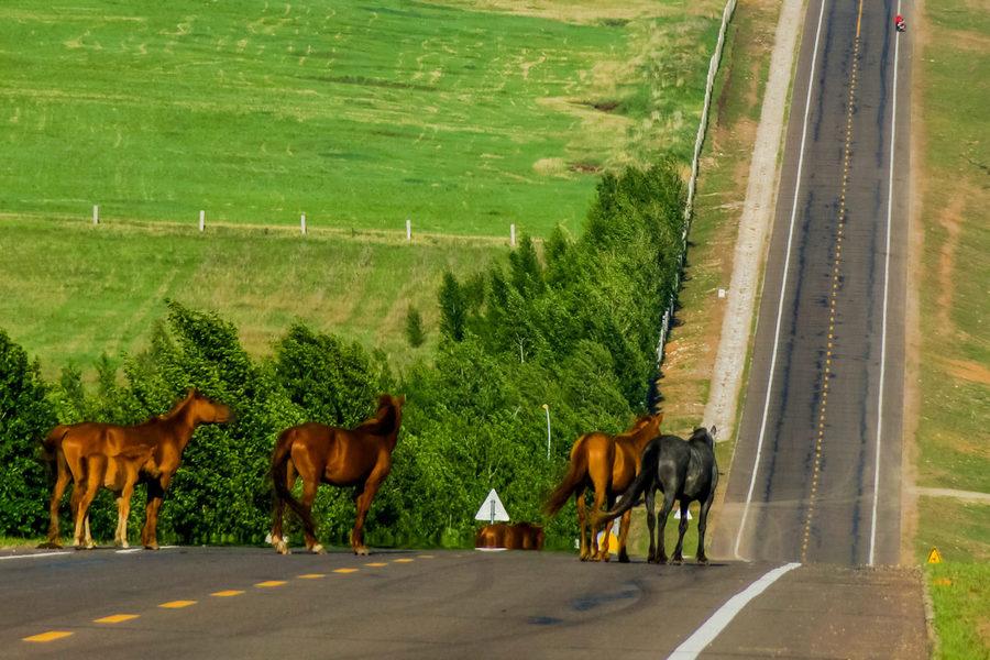 乌鲁木齐|逃离人群,国庆自驾游,这6条绝美自驾线路赶紧安排上吧
