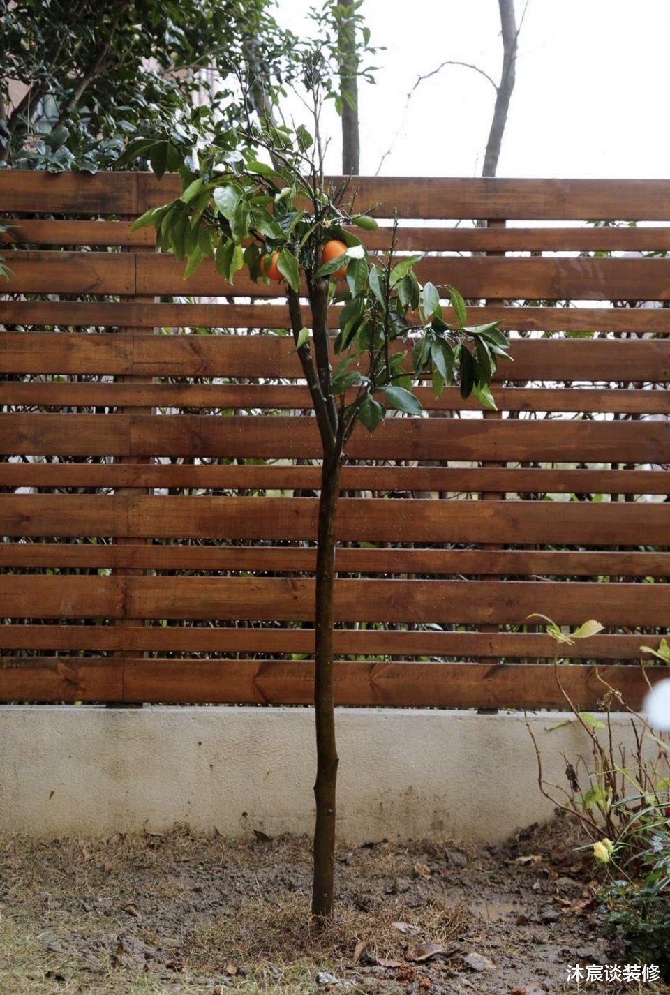 |她的新家，一层带个小花园，清新原木风很舒适，享受美妙田园生活