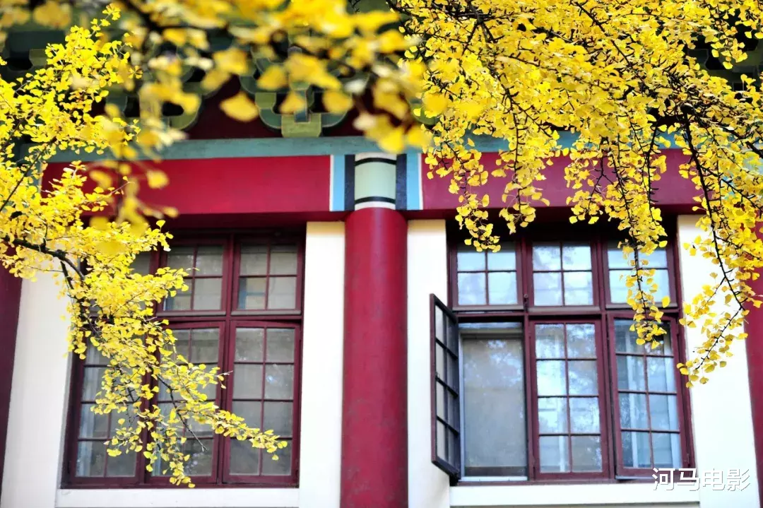 成都|秋天最值得去的八座古城,你去过几个?