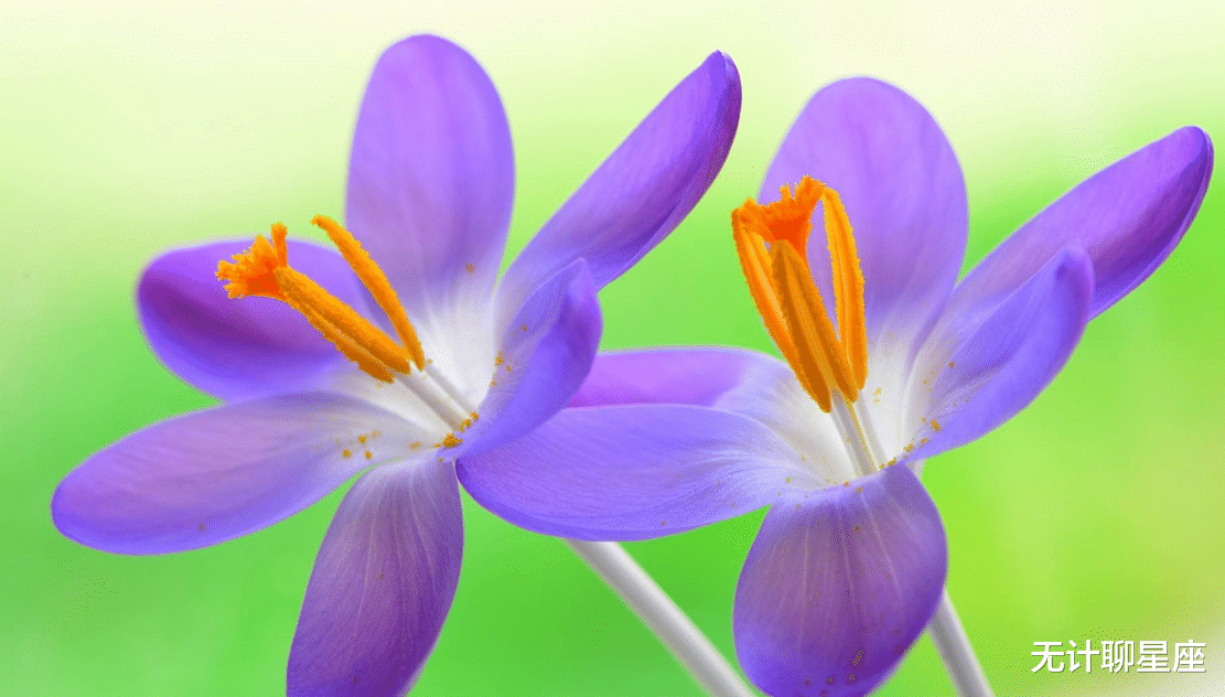 生肖|七天后，桃花不断、感情上即将脱单的4星座，抓住你的良缘