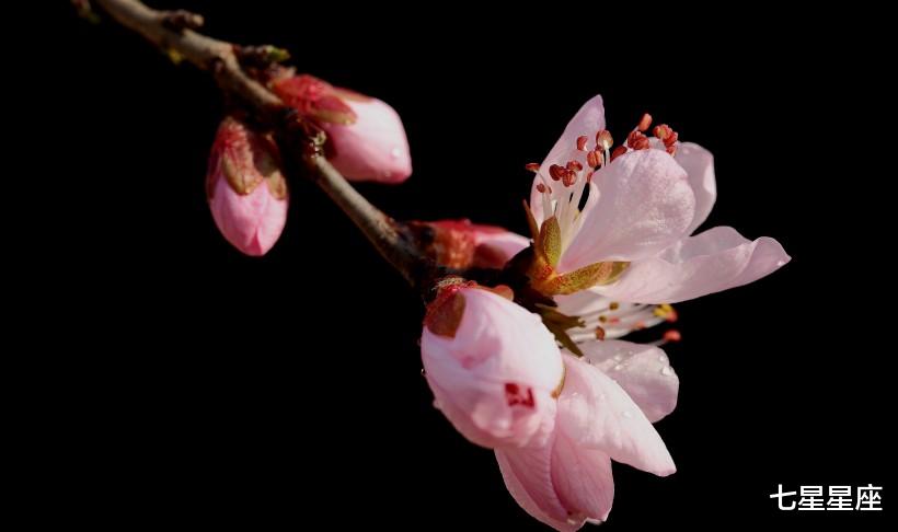 「生肖」6月30号，鸿运当头，谷底翻身，财运大涨的3生肖，财气逼人