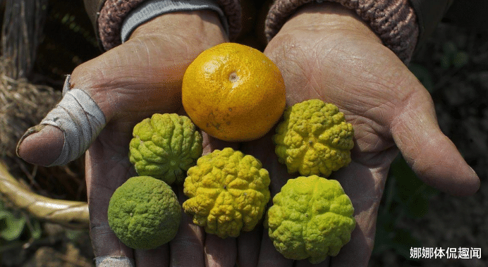 宇宙飞船|核辐射究竟有多恐怖？看完这10张图，你就知道了！