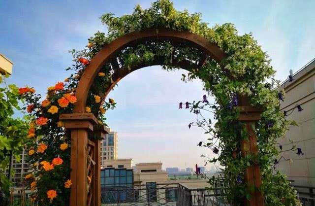 佛系|家有小院，4样东西别错过，利用率高，让院子更有格调