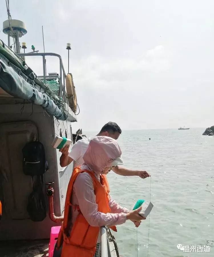 大陈岛|休闲大陈岛，垂钓、品海鲜、赏落日余辉