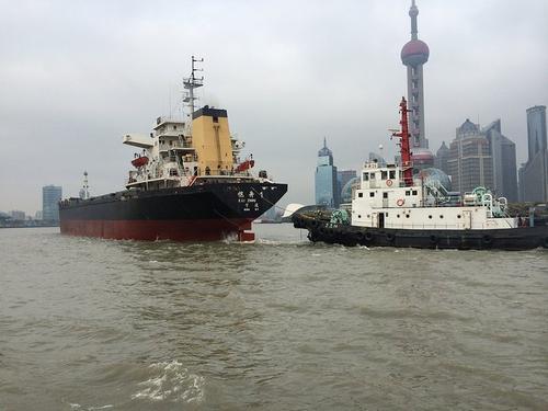 海河▲黄浦江螃蟹成灾？当地钓鱼人：到处都是，一天钓几十只