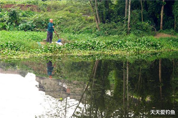 『』夏天钓不到鱼，那是位置没选对！这些位置鱼多，这里下竿准没错！