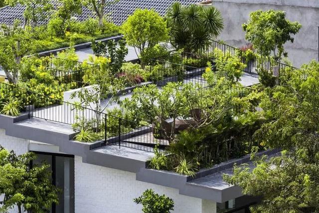花草、小院，我想建一个被自然包裹的房子，外在简单内在舒适
