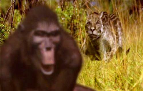 科学家■人类真的没有天敌吗?科学家指出一种凶狠动物,差点吃光人类祖先